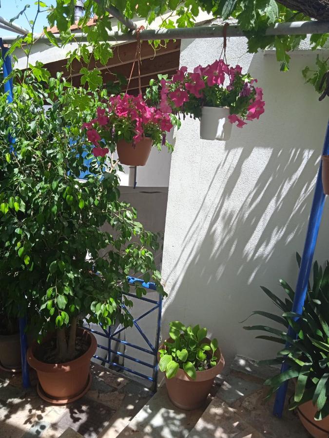 To Limanaki Apartment Finikounta Exterior photo