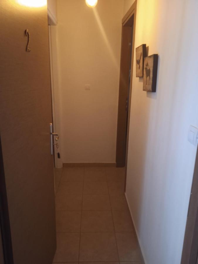 To Limanaki Apartment Finikounta Exterior photo