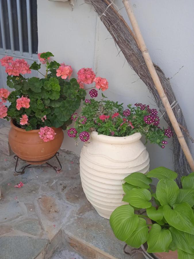 To Limanaki Apartment Finikounta Exterior photo